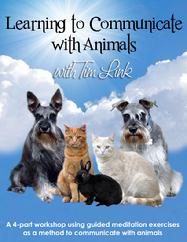 Tim's On Demand Animal Communication Workshop is Available Now! 
